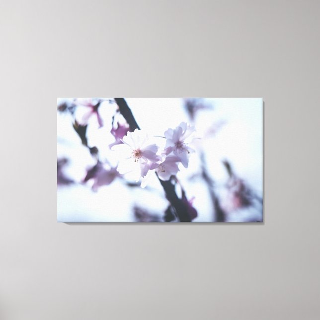 Vår blomstrar träd canvastryck (Framsida)