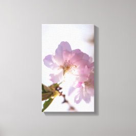 Vår blomstrar träd canvastryck