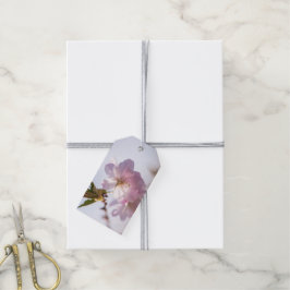 Vår blomstrar träd presentetikett