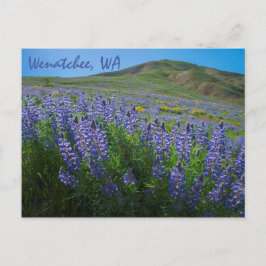 Vår Bloom at Sage Backe Wenatchee, Washington Vykort