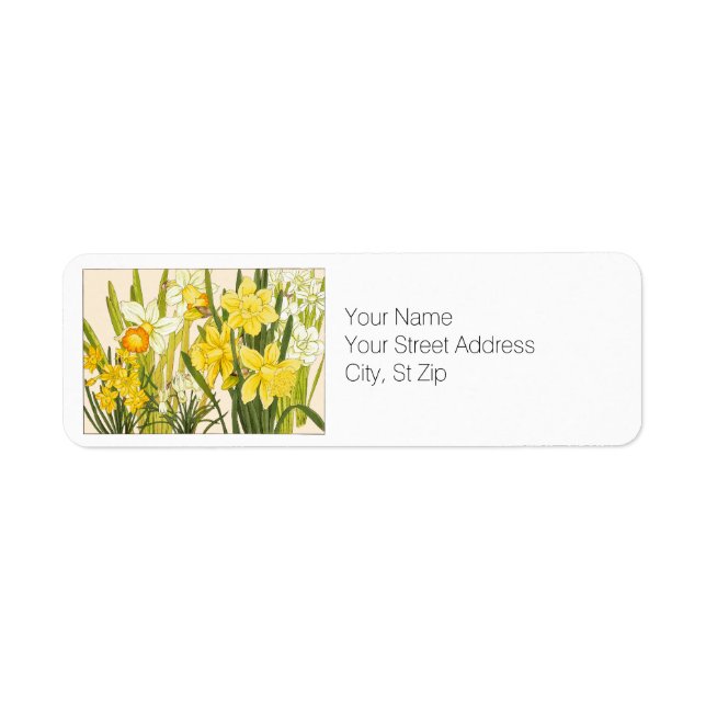 Vår Blooming Gult Daffodils Botaniska Adress Returadress Etikett (Framsidan)