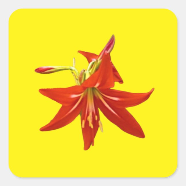 Vår Blooms Fyrkantigt Klistermärke (Framsida)