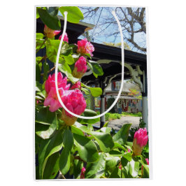 Vår Blooms i kuststaden - Martha's Vineyard