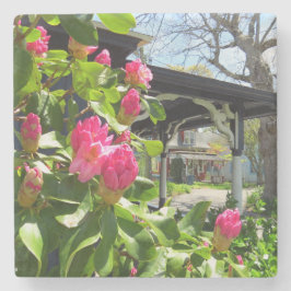 Vår Blooms i kuststaden - Martha's Vineyard Stenunderlägg