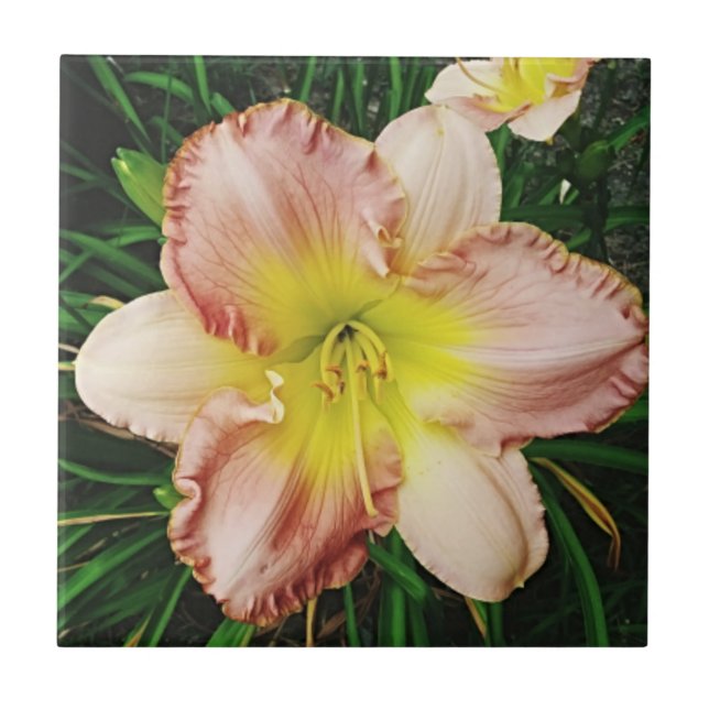 Vår Blooms Kakelplatta (Framsidan)