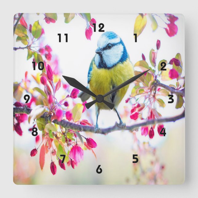 Vår Blue Bird Fyrkantig Klocka (Framsida)