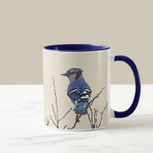Vår Blue Jay Fine Art for Bird Älskare