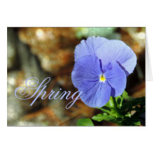 Vår Blue Pansy valfritt Tillfälle-kort