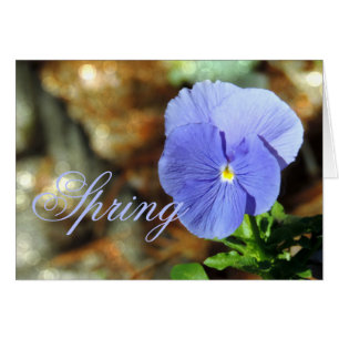 Vår Blue Pansy valfritt Tillfälle-kort Hälsningskort