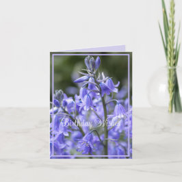 Vår Bluebells efter Rain Birthday Kort