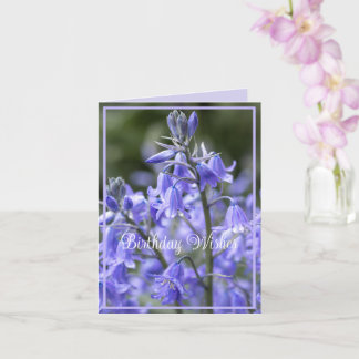 Vår Bluebells efter Rain Birthday Kort