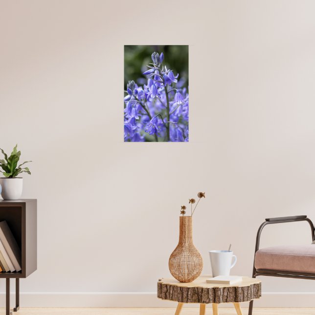 Vår Bluebells efter regnet Poster (Vardagsrum 3)
