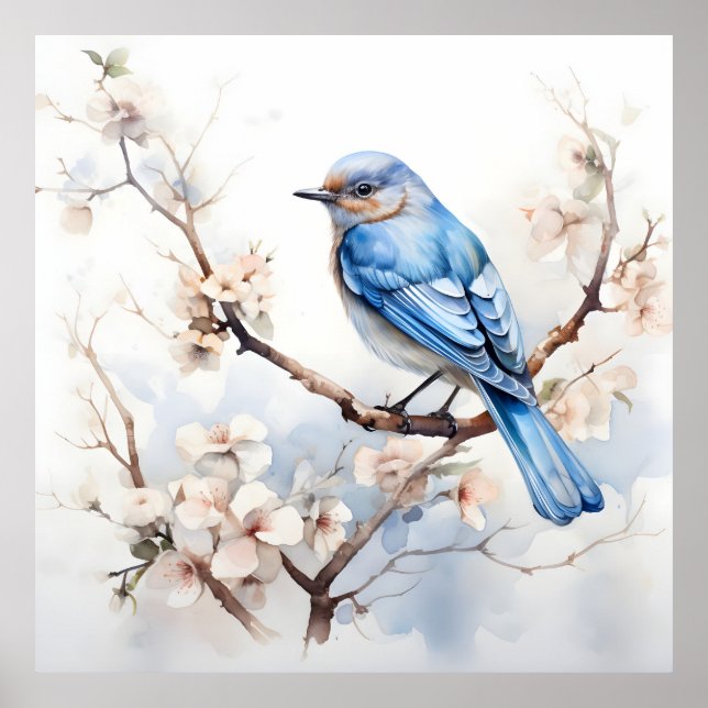 Vår Bluebird i Blossoming Träd Poster (Framsidan)