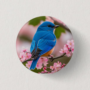 Vår Bluebird Knapp