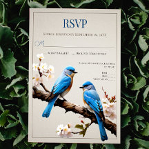 Vår Bluebirds Bröllop OSA