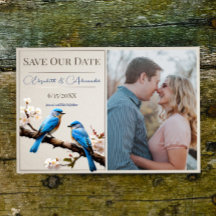 Vår Bluebirds Photo Save Date