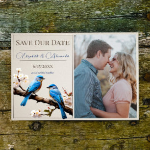 Vår Bluebirds Photo Save Date Meddelande