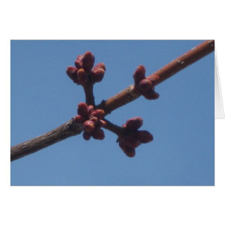 Vår börjar växa fram hälsningskort