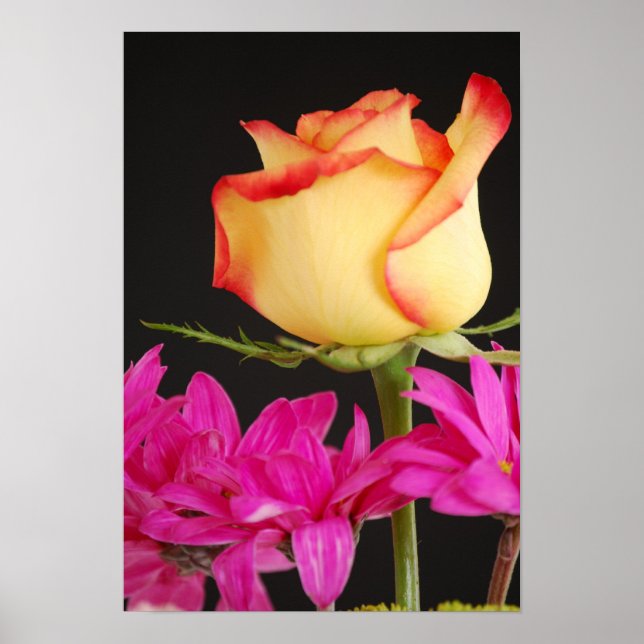 Vår Bouquet Poster (Framsidan)