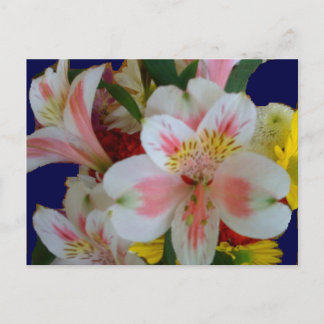 Vår Bouquet-vykort Vykort