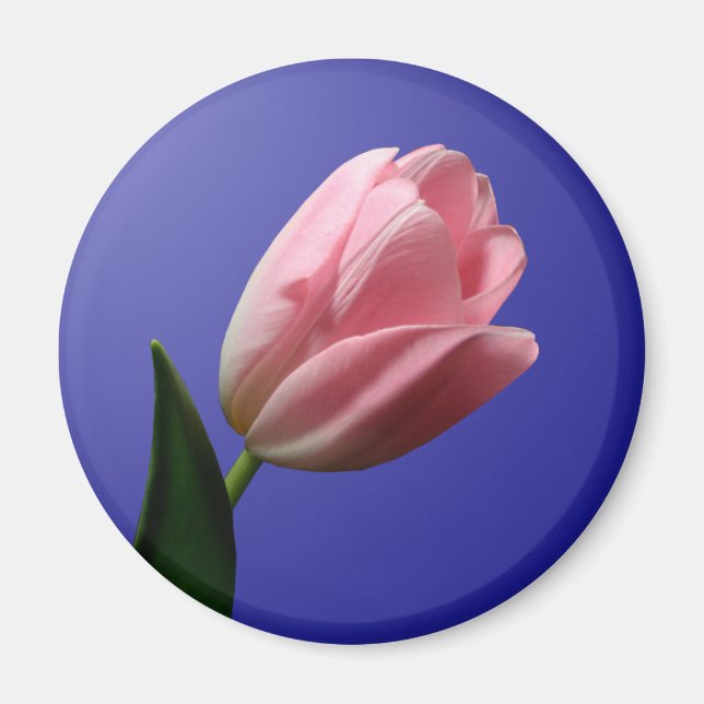 Vår bröllop Tulip Magnet (Framsidan)