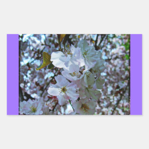 Vår Brooklyn Botanical Gardens Rektangulärt Klistermärke
