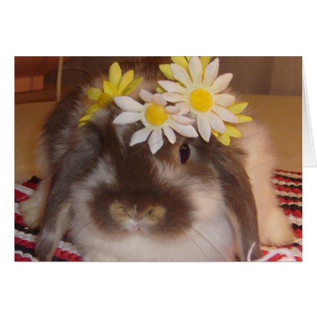 Vår bunnies hälsningskort (Framsidan Horizontal)