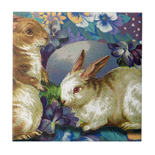 VÅR BUNNIES.jpg Kakelplatta
