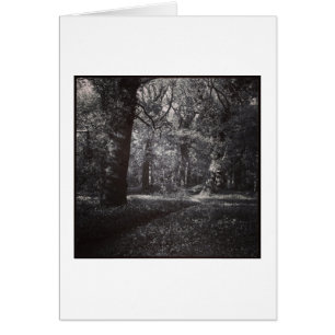 Vår Bute Park, Cardiff, Wales Hälsningskort