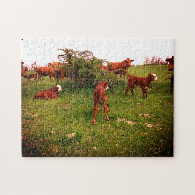 Vår Calves Pussel (Horisontell)