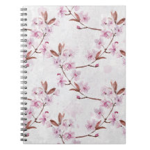 Vår Cherry Blommar Grenar
