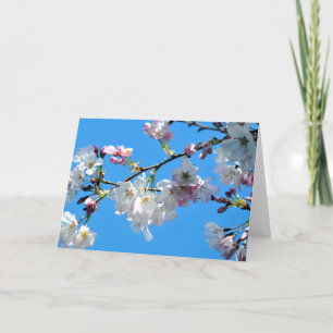 Vår Cherry Blommars Card Kort