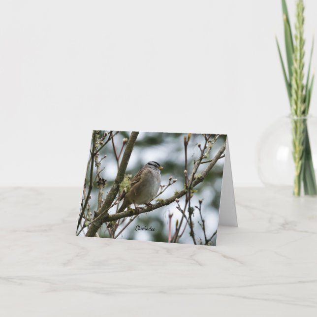 Vår Chickadee-kort Tack Kort (Framsida)