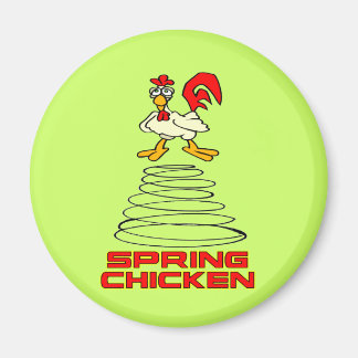 Vår Chicken Magnet