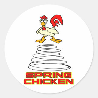 Vår Chicken Runt Klistermärke