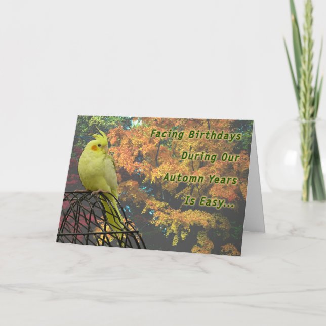 Vår Chickens Kort (Framsida)