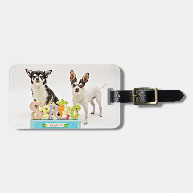 Vår Chihuahuas Bagagebricka (Horisontell Framsida)