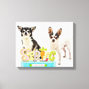 Vår Chihuahuas Canvastryck