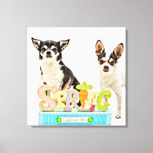 Vår Chihuahuas Canvastryck