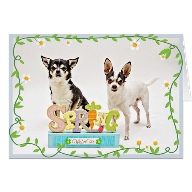 Vår Chihuahuas Hälsningskort (Framsidan Horizontal)