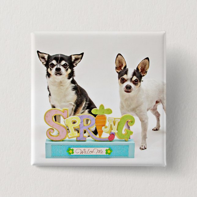 Vår Chihuahuas Knapp (Framsida)