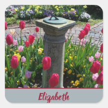 Vår Colorful Tulips Blomsterträdgård foto