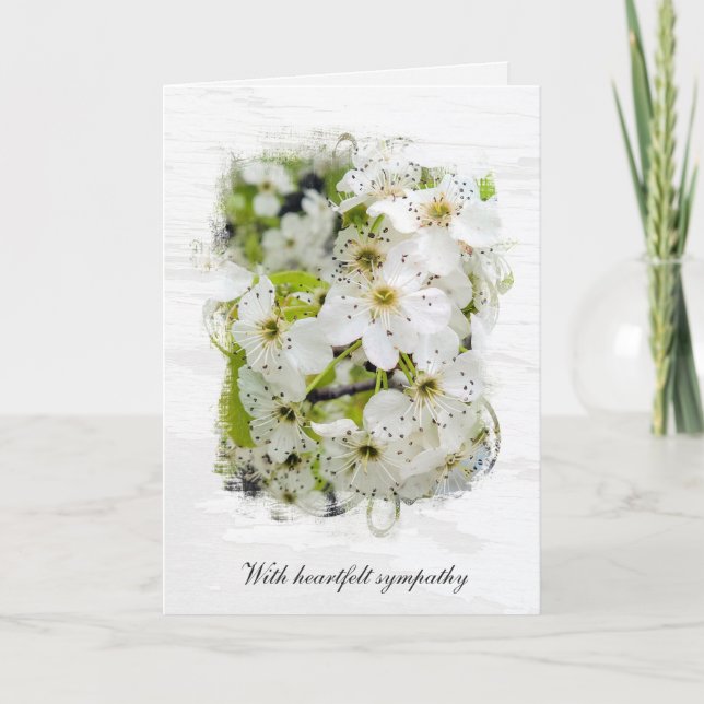 Vår Crabapple Blommars Sympathy Kort (Framsida)