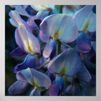 Vår Creations Poster