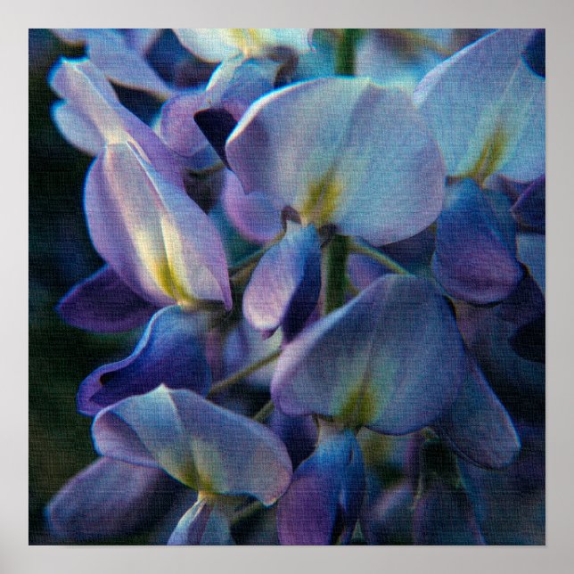 Vår Creations Poster (Framsidan)