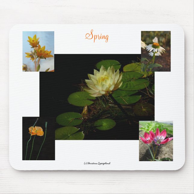 Vår Crocus Flowers Mousepad Musmatta (Framsidan)