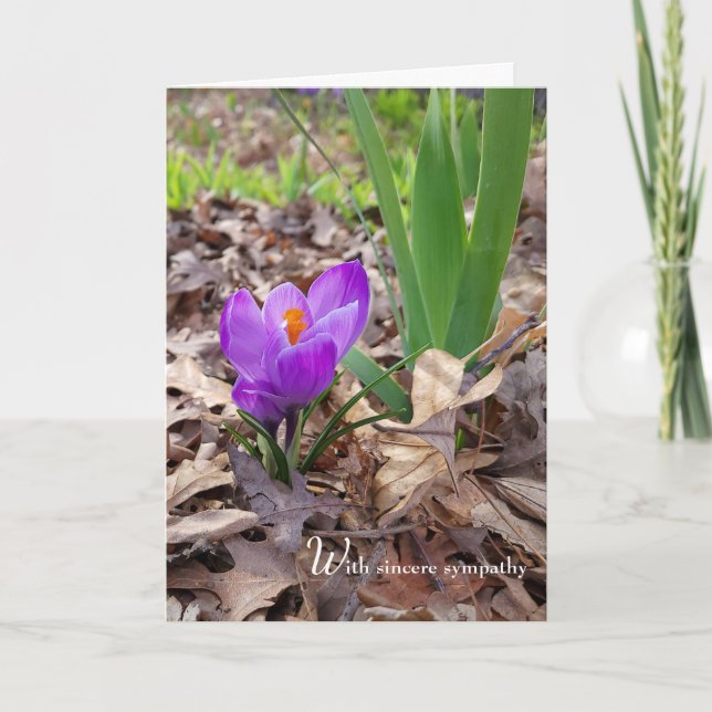 Vår Crocus i Löv Sympathy Card Kort (Framsida)