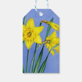 Vår daffodil bra konst måla påsk gift märkre presentetikett