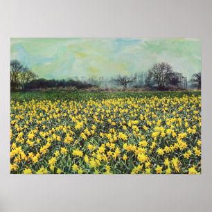 Vår daffodil Fält Poster
