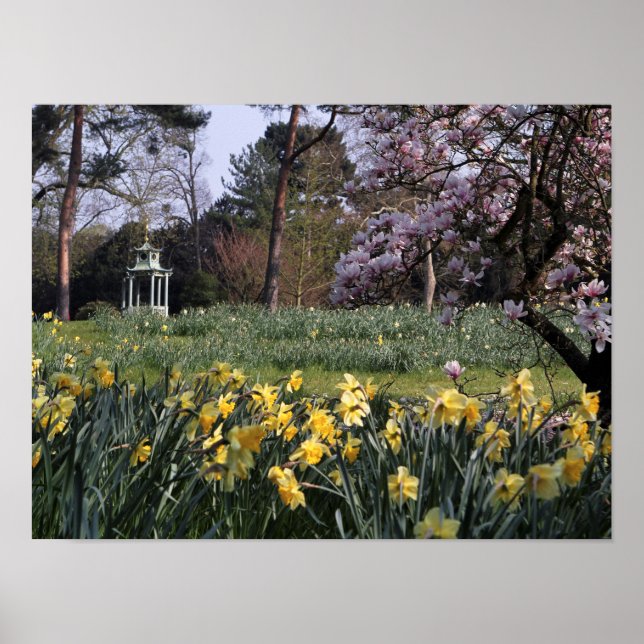 VÅR DAFFODIL GARDEN POSTER (Framsidan)